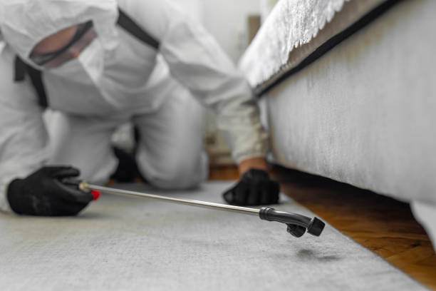 Professional Bed Bug Control technician working in Allen County County, OH